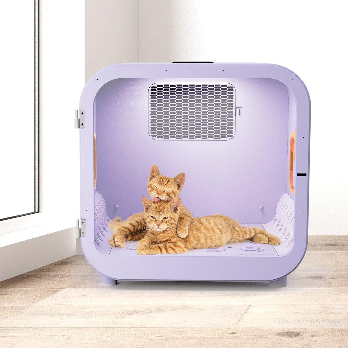 Sèche-cheveux ultra silencieux pour chats et petits chiens (capacité de 6 L)