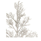 96 Twig Deadwood Tree