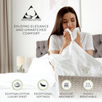 Aireolux 1000 Thread Count Ultra-Soft & Silky Luxury Egyptian Cotton Sheet Set