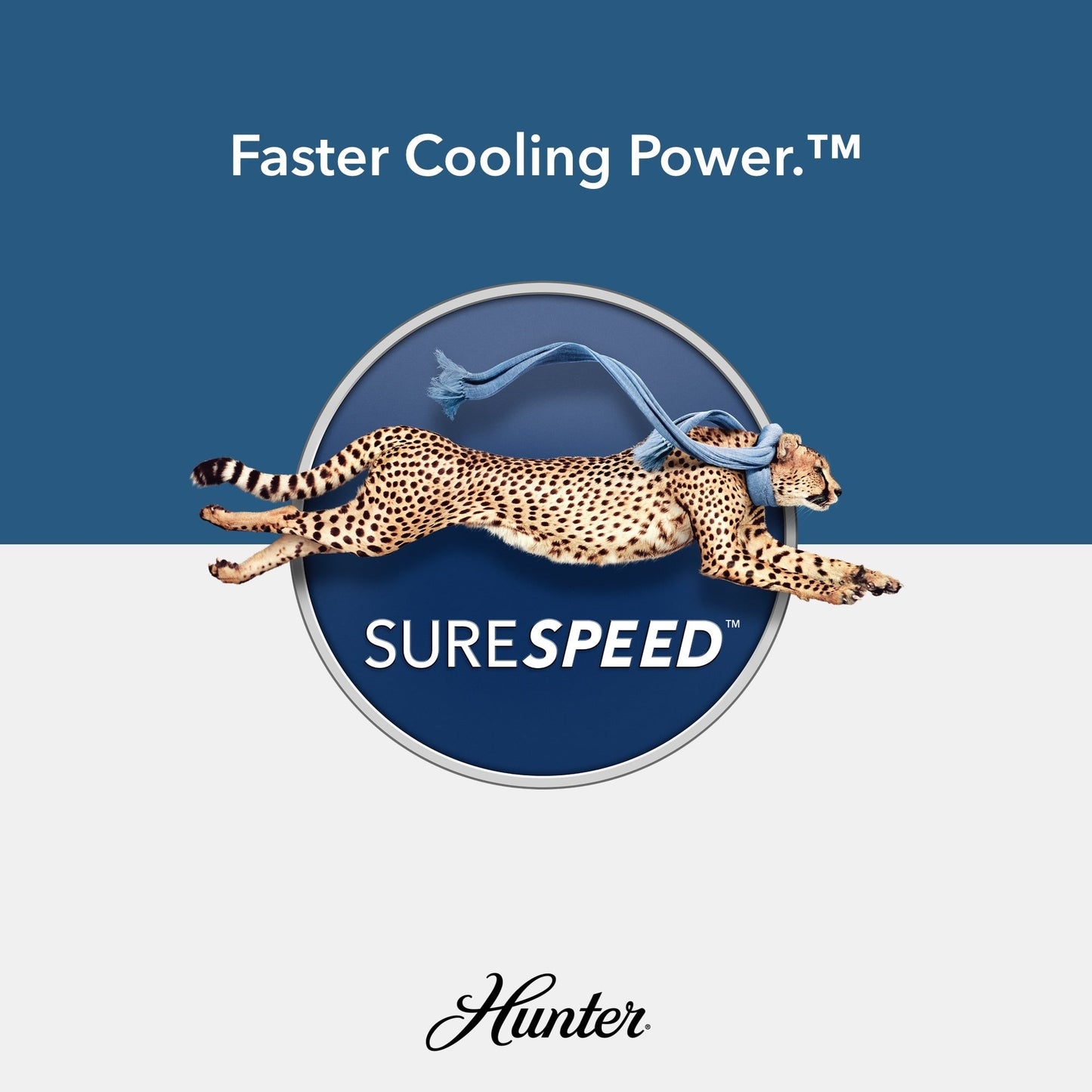 Hunter 52 Shorebreak WeatherMax Indoor / Outdoor Ceiling Fan w/ Wall Control - Extreme Weather, Salt & Corrosion-Resistant