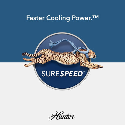 Hunter 52 Shorebreak WeatherMax Indoor / Outdoor Ceiling Fan w/ Wall Control - Extreme Weather, Salt & Corrosion-Resistant