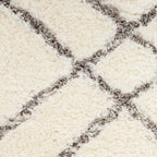 Nourison Luxurious Shag Ultra Plush Pile Abstract Geometric Area Rug