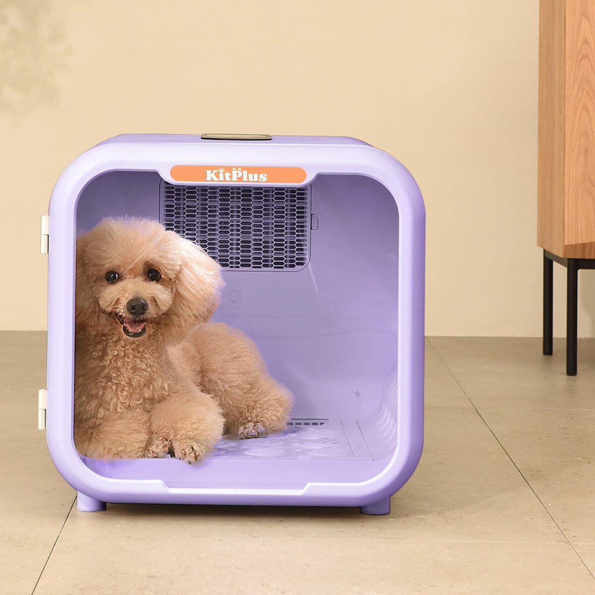 Sèche-cheveux ultra silencieux pour chats et petits chiens (capacité de 6 L)