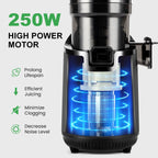 Ventray 900 Slow Masticating Juicer, Cold Press Juicer with 5.1 Extra Large Wide Feed Chute